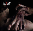 /album/fotogaleria/llagas-foto-png/